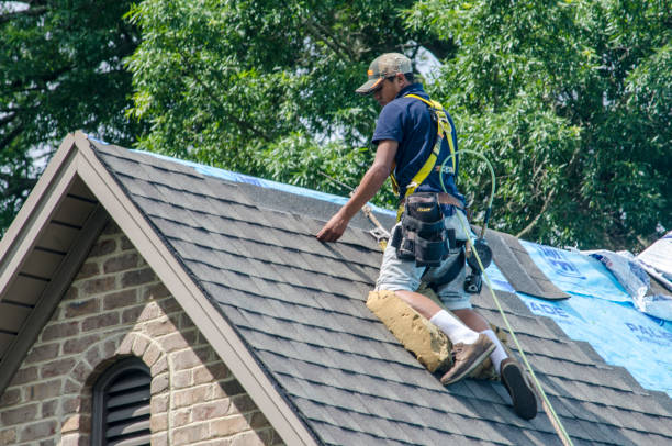 Best Roof Restoration Services  in Concord, VA